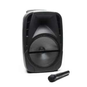 Boxa Bluetooth Freeman Karaoke 1001 (9)